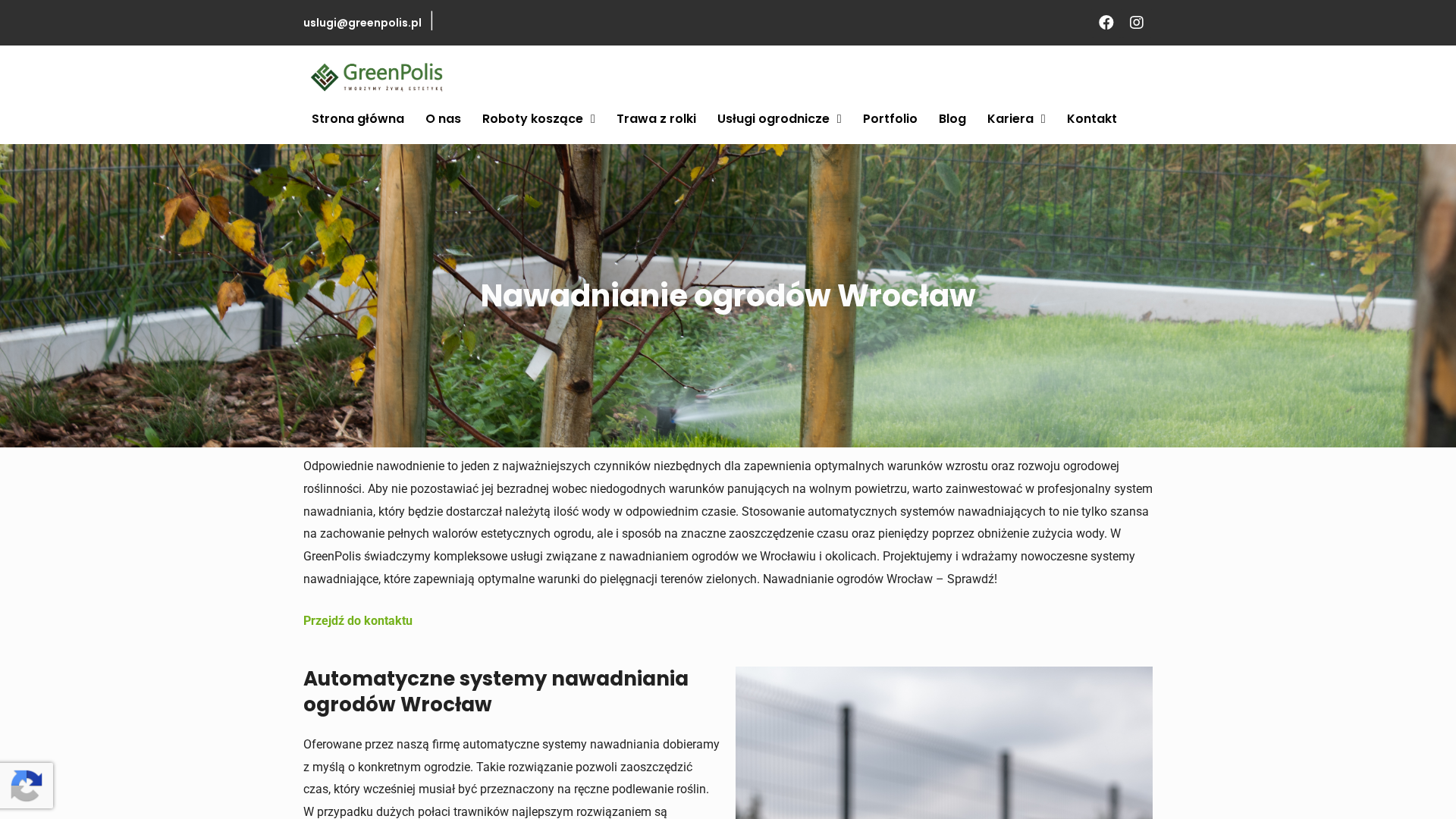 Jak podlewać ogród podczas upałów i suszy, aby rośliny miały odpowiednie warunki do wzrostu?