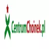 Logo Choinki sztuczne - hurtownia, producent | Sklep internetowy Choinki.istore.pl