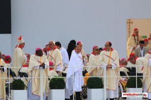 Msza Poslania z papiezem Franciszkiem na Brzegach (8)