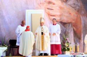 Msza Poslania z papiezem Franciszkiem na Brzegach (97)